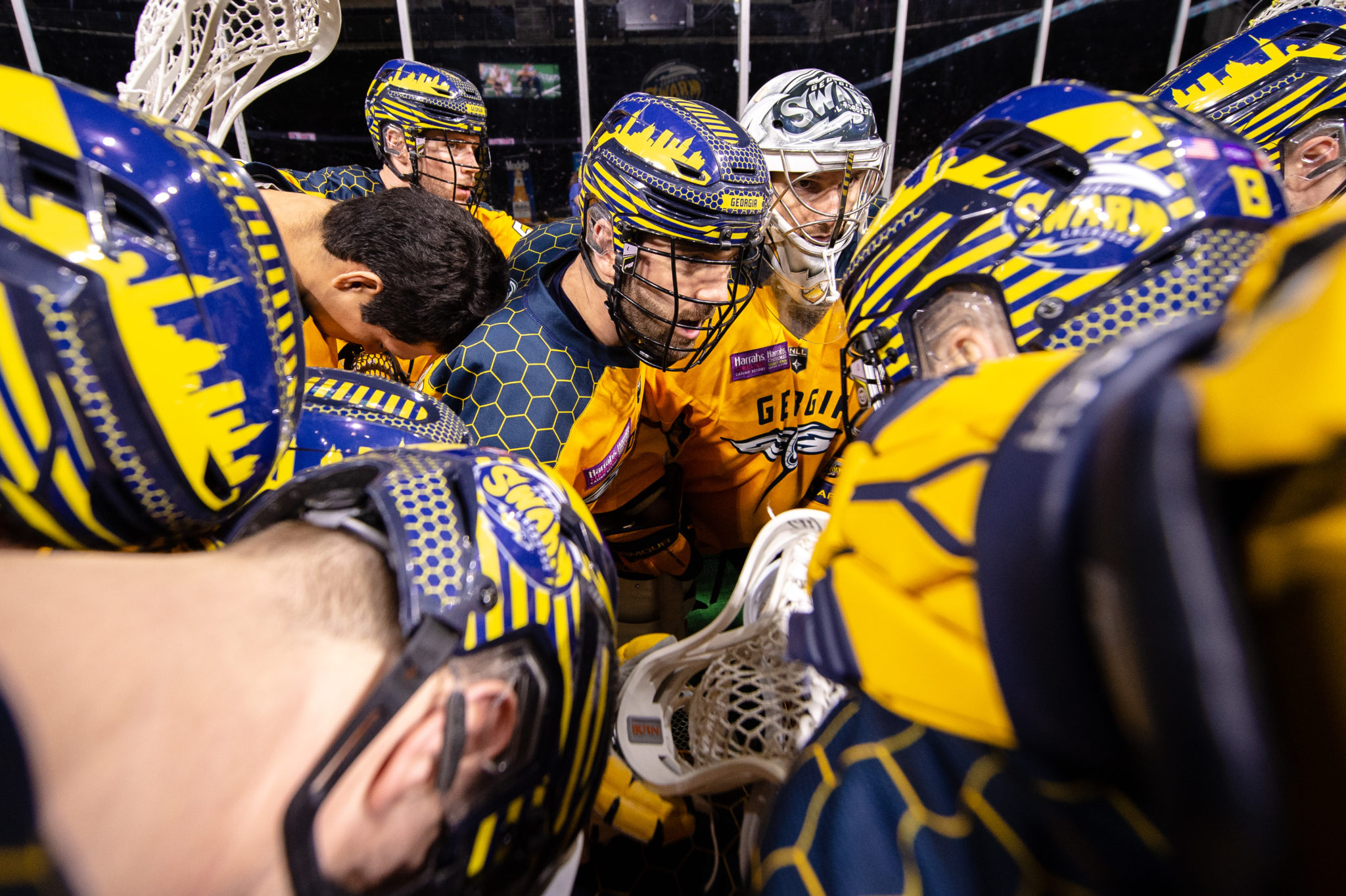 Swarm face San Diego Seals for first time ever on Friday